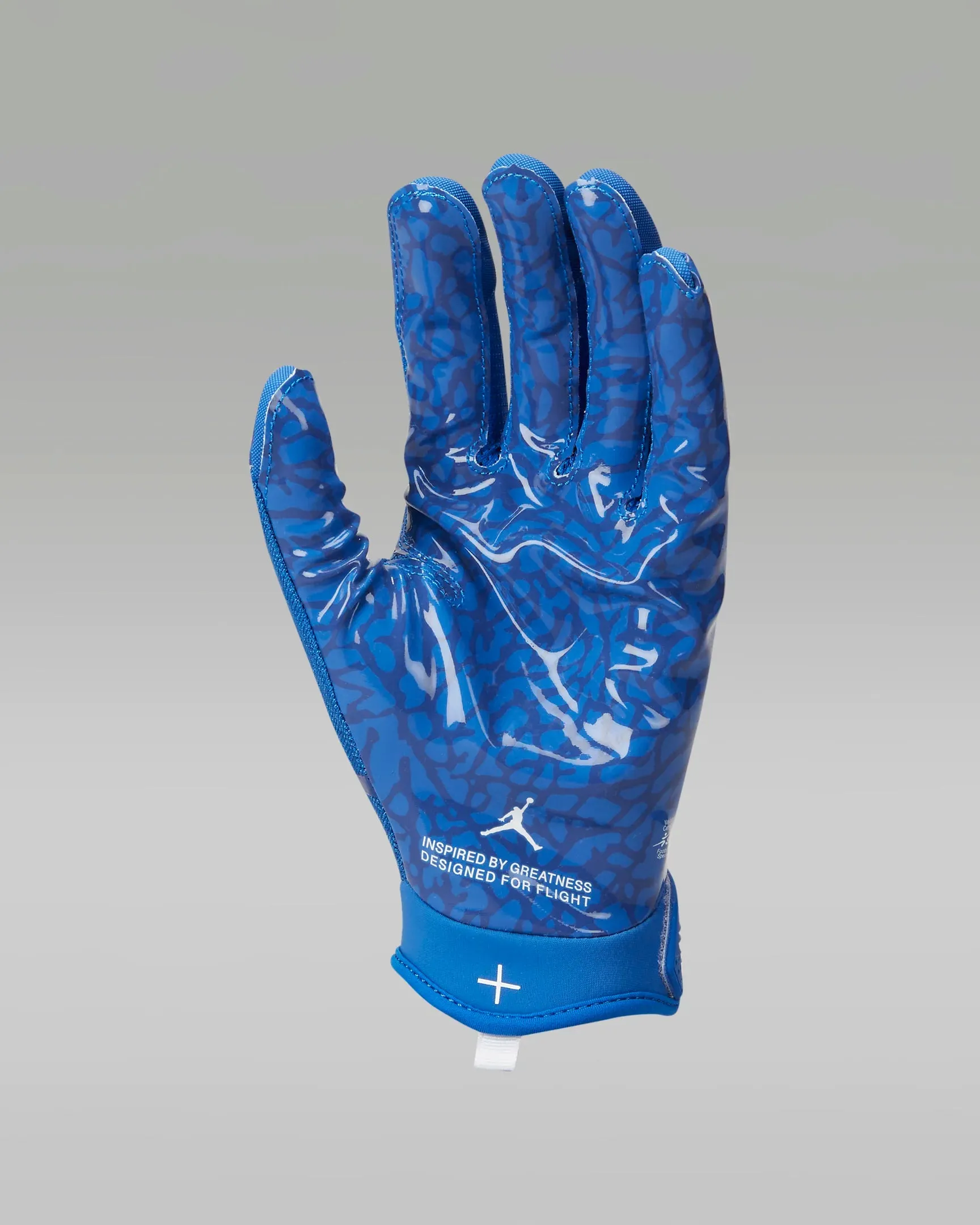 Jordan Fly Lock Football Gloves | Royal