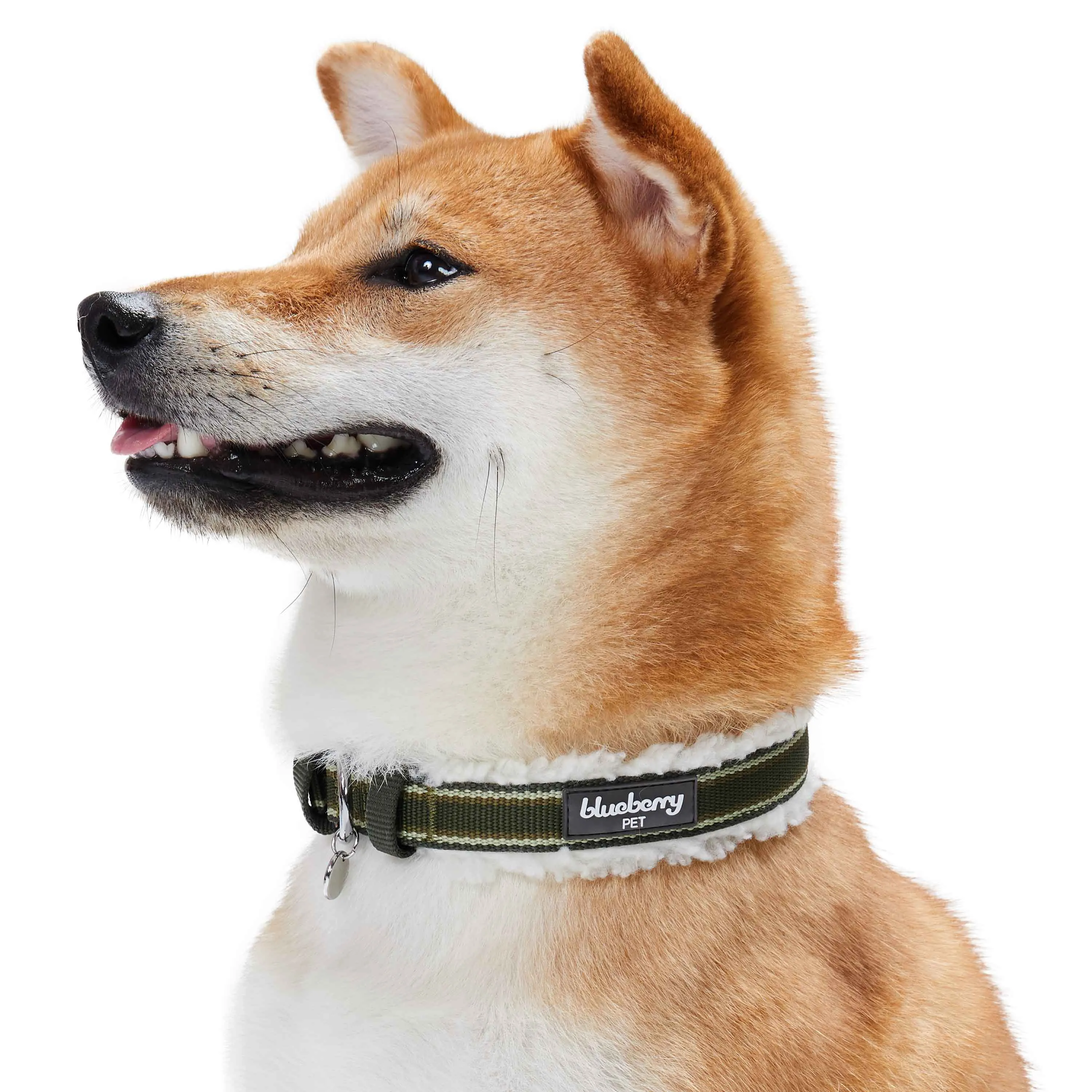 Sherpa Fleece Padded Dog Collar in Multi-color Stripes