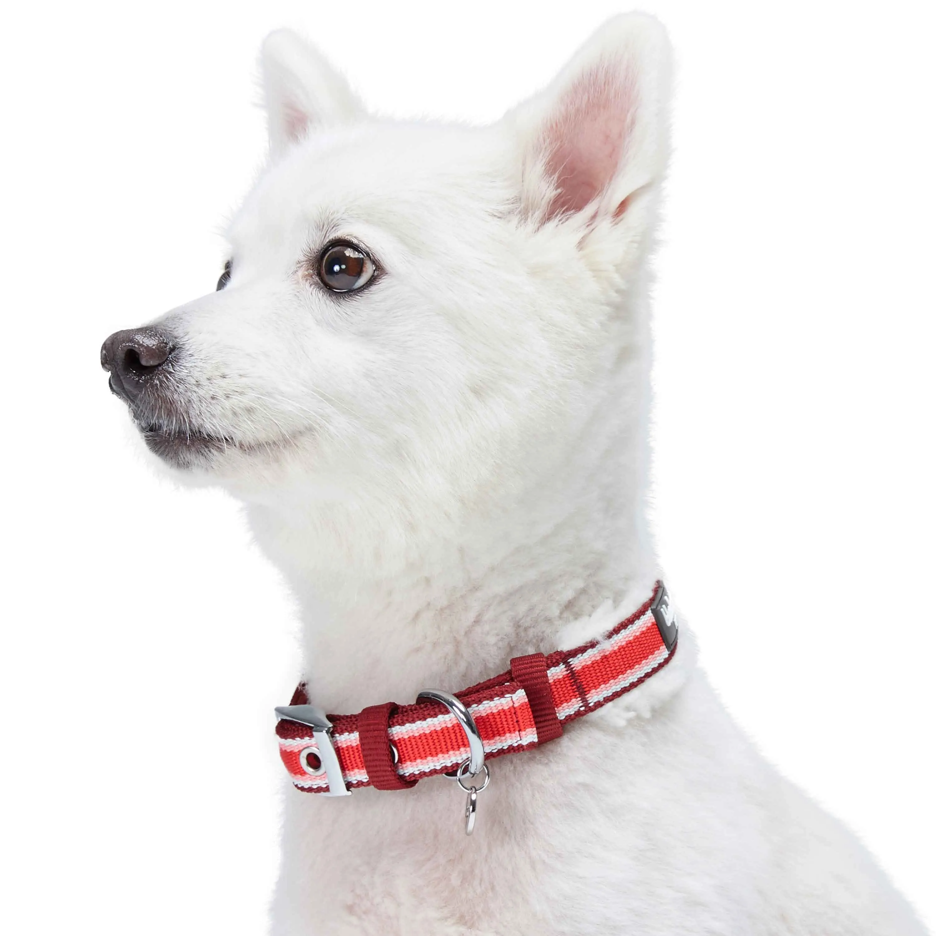 Sherpa Fleece Padded Dog Collar in Multi-color Stripes