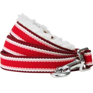 Sherpa Fleece Padded Dog Leash in Multi-color Stripes