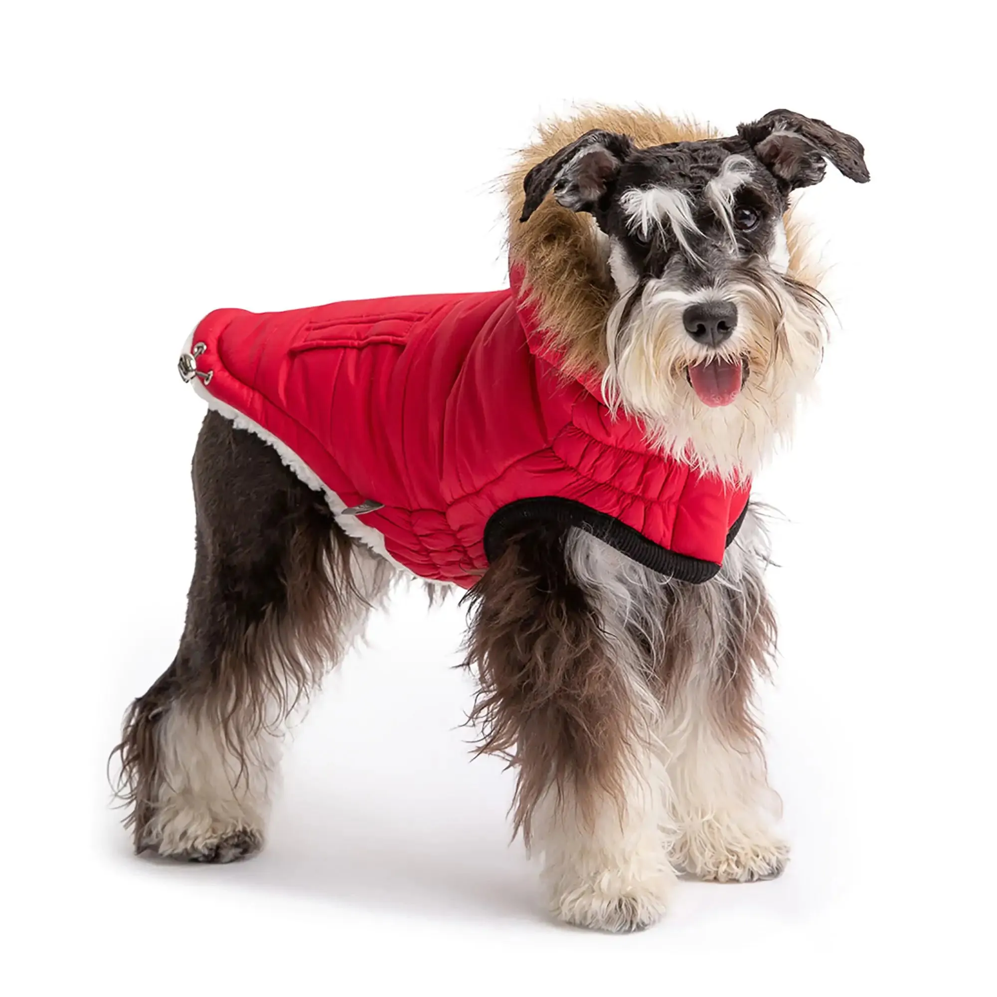 Sherpa-Lined Urban Parka - Red. Dog Coat. Water Resistant.